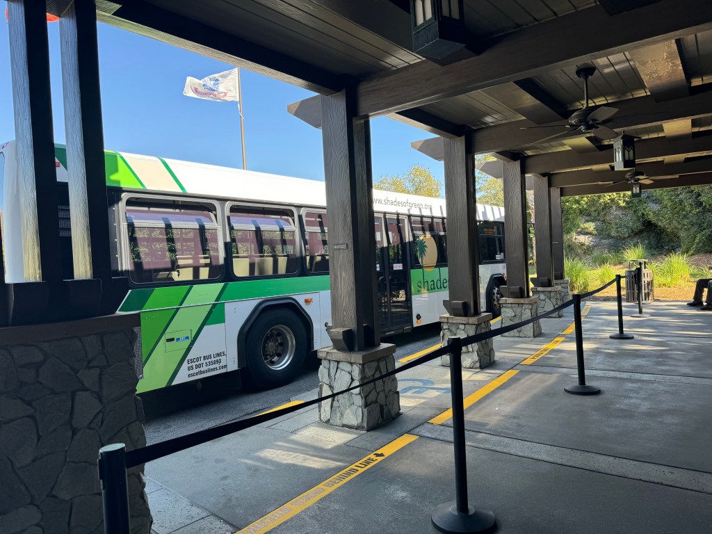 shades-to-disney-transportation-routes-magical-mouse-command